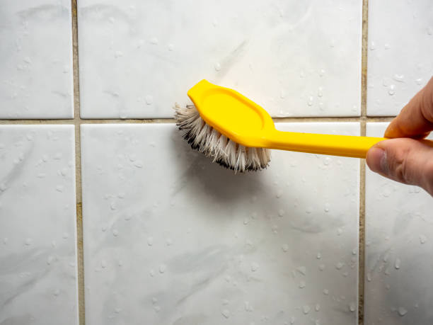 Best Emergency Mold Removal  in Pioche, NV