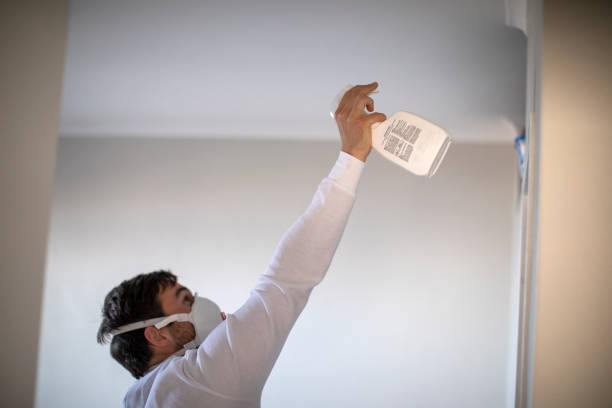 Best Attic Mold Removal  in Pioche, NV